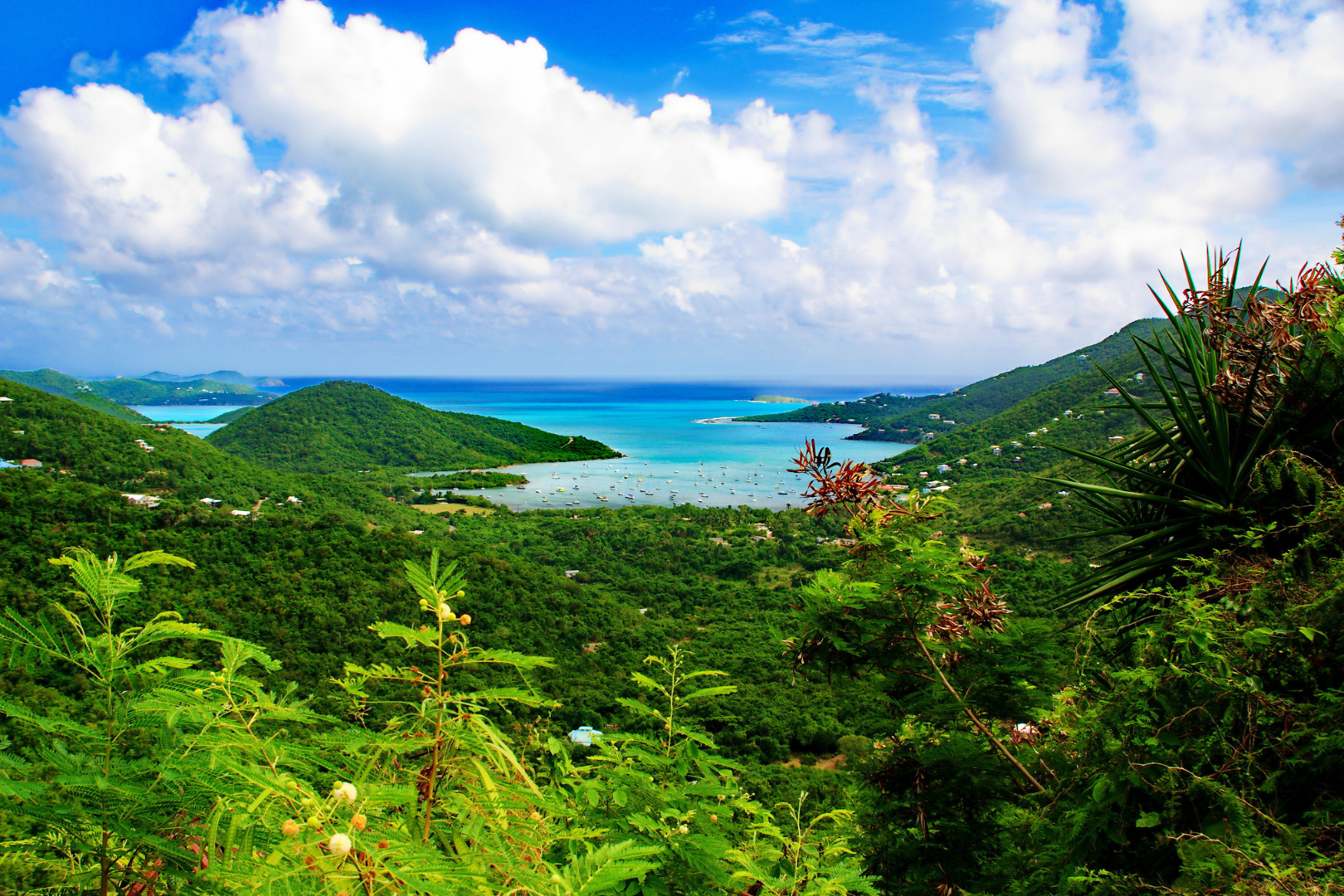 No-Passport Island Getaway — image 2 of 8