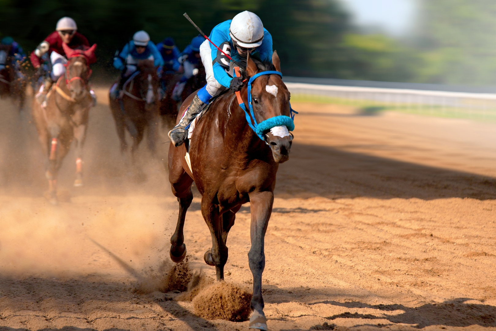 Kentucky Derby - 3 Nights for 2 — image 4 of 6