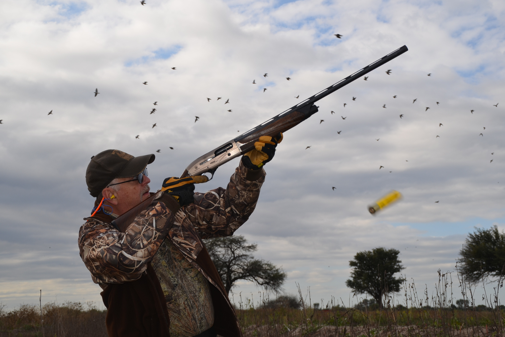 Argentinian Dove Hunt — image 4 of 4