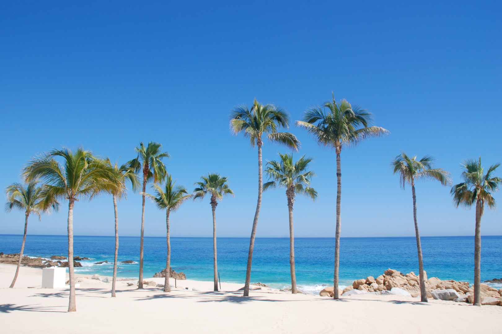 Cabo Golf Experience — image 10 of 10