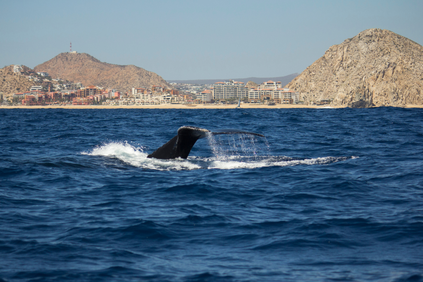 Cabo All-Inclusive - 4 Nights for 2 — image 7 of 10