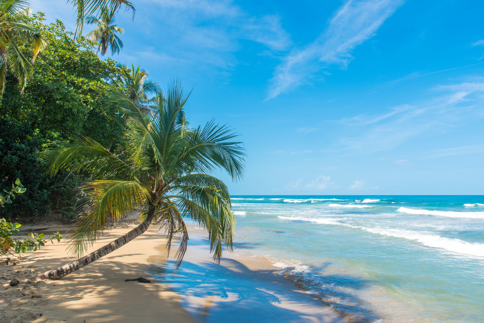 Costa Rica — image 7 of 10