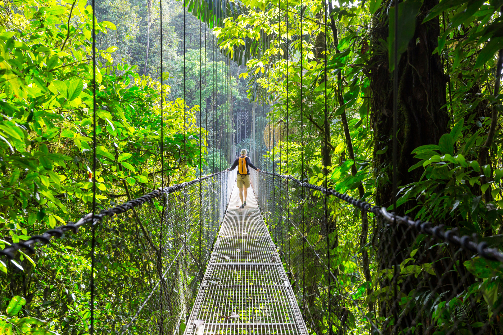 Costa Rica — image 9 of 10