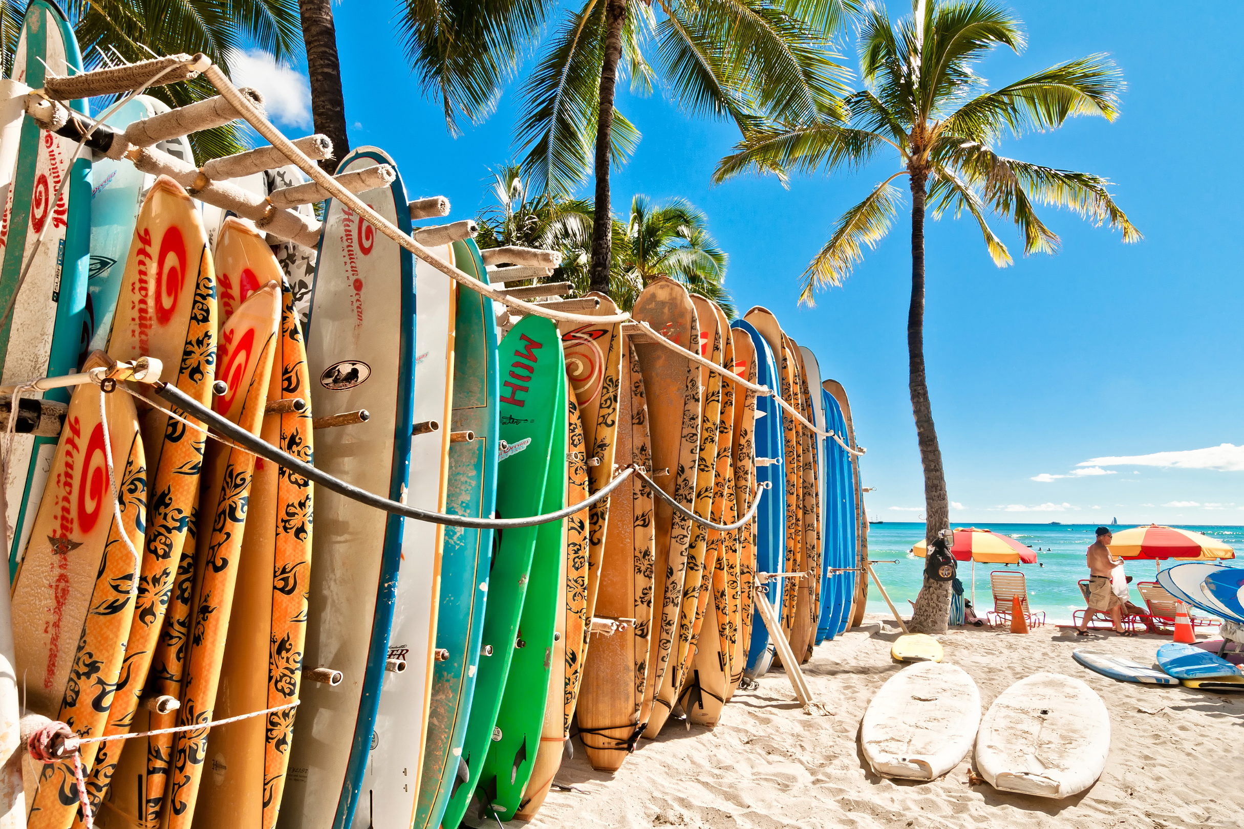 Hawaiian Adventure — image 3 of 10