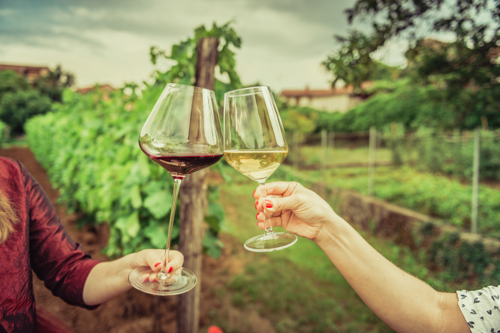 Napa Valley Wine Tour — image 5 of 10