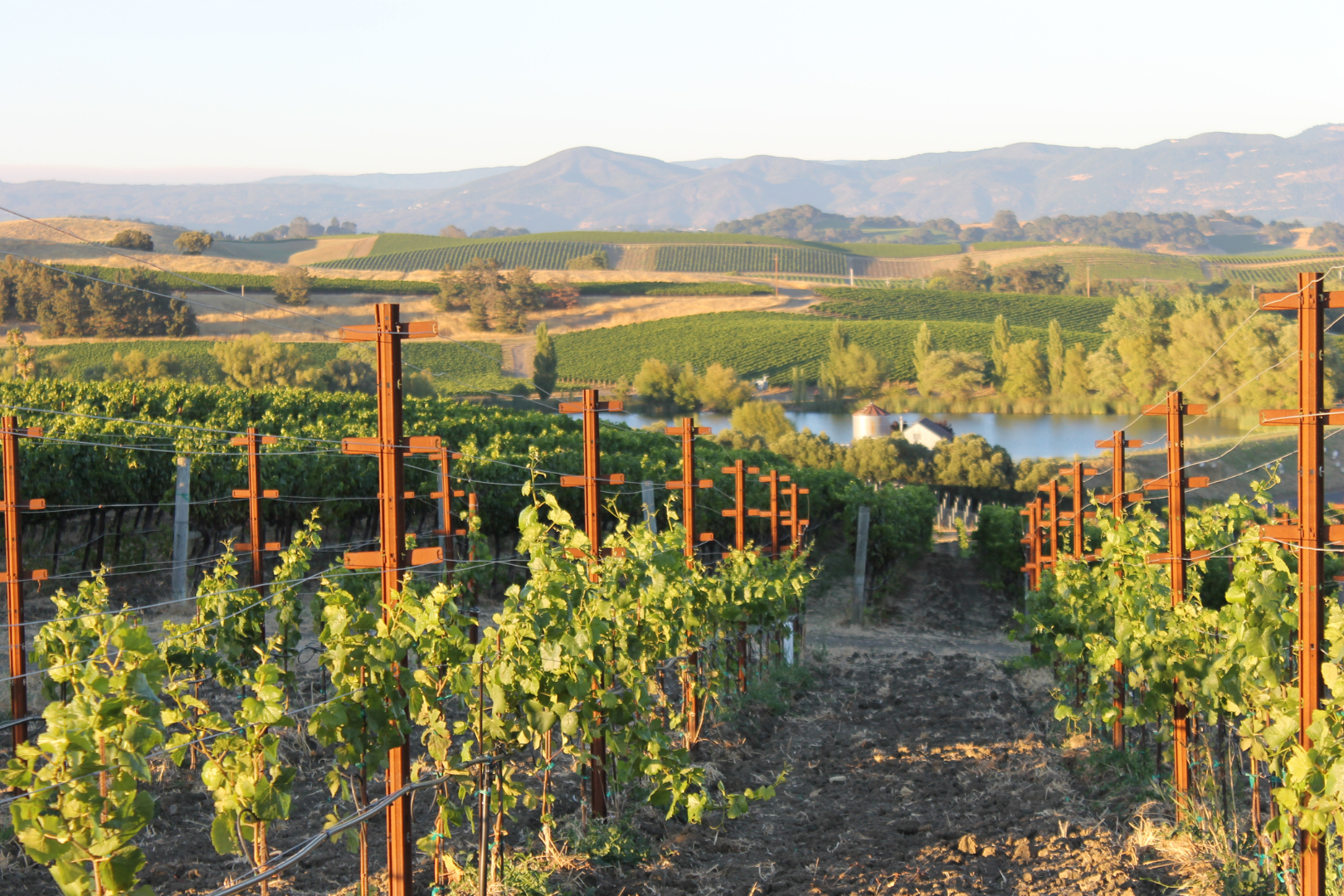 Napa Valley Wine Tour — image 3 of 10