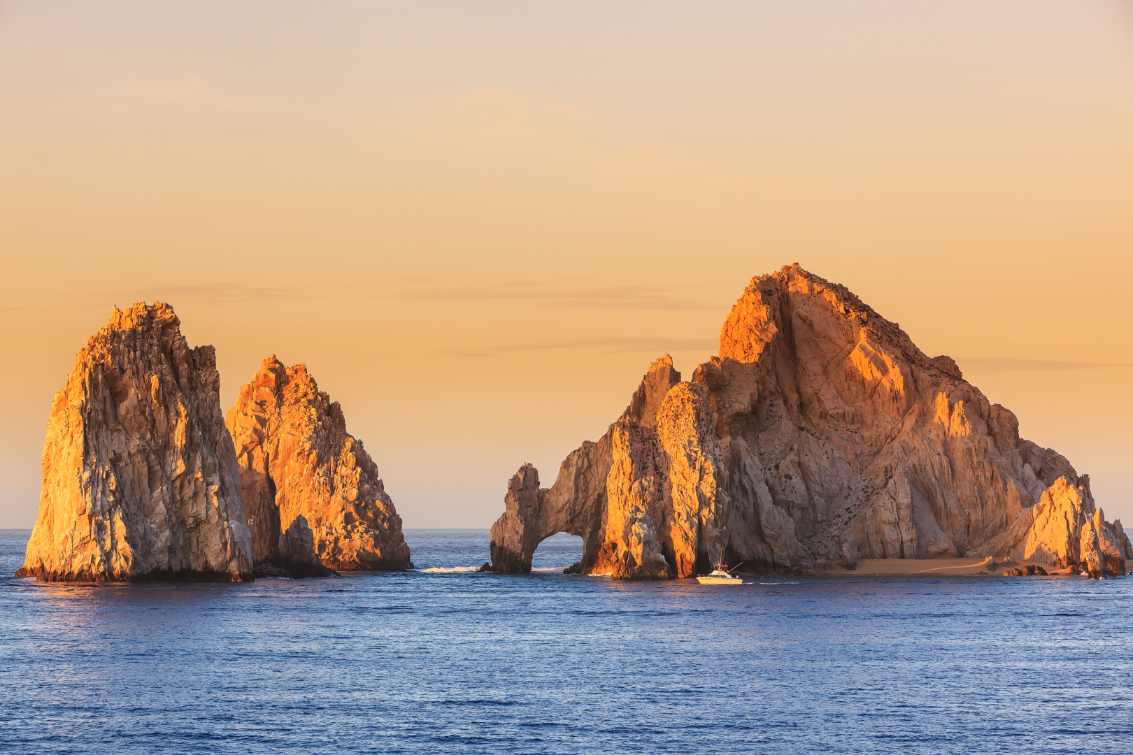 Los Cabos Sport Fishing — image 7 of 10