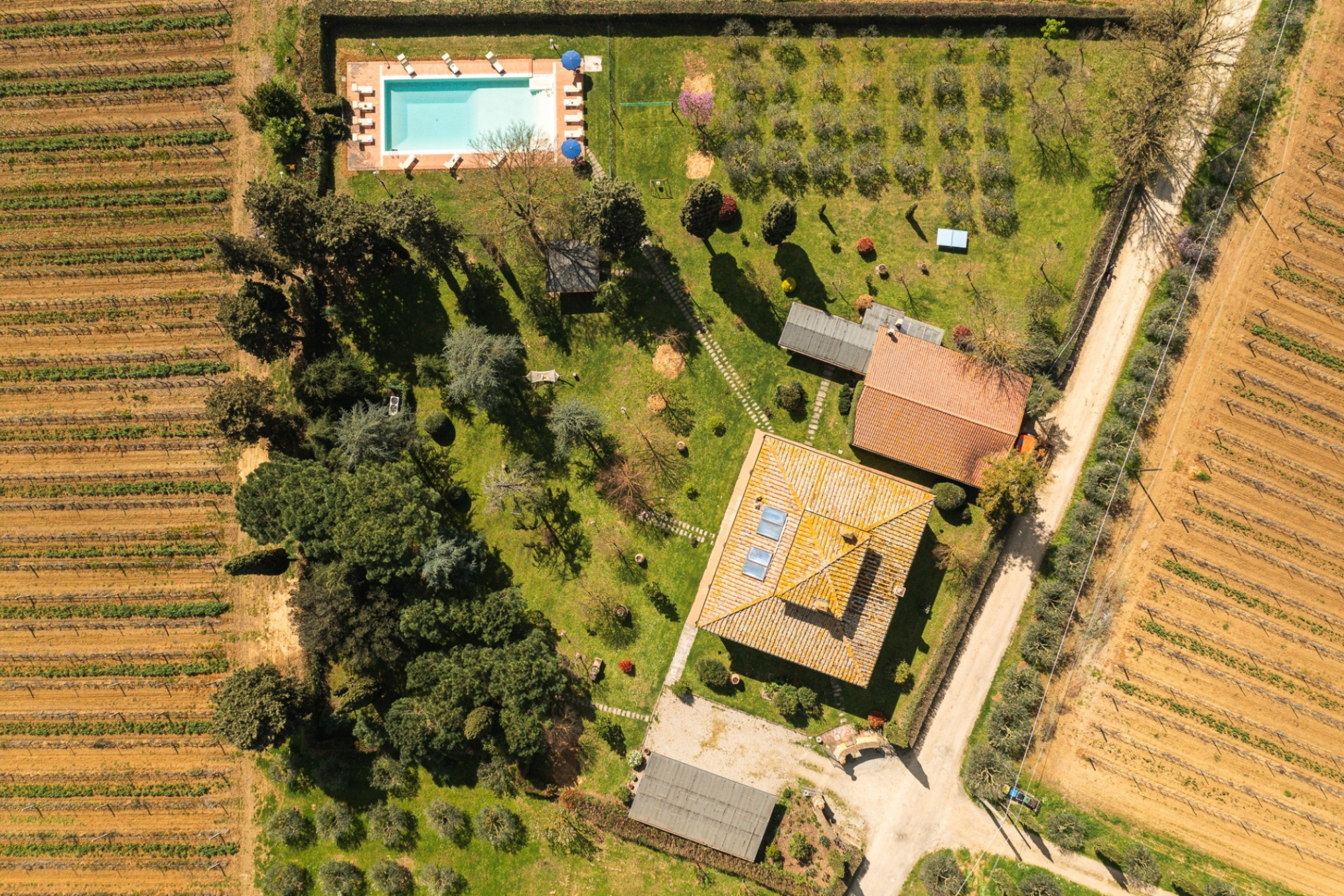 Tuscany Villa for 12 — image 3 of 10