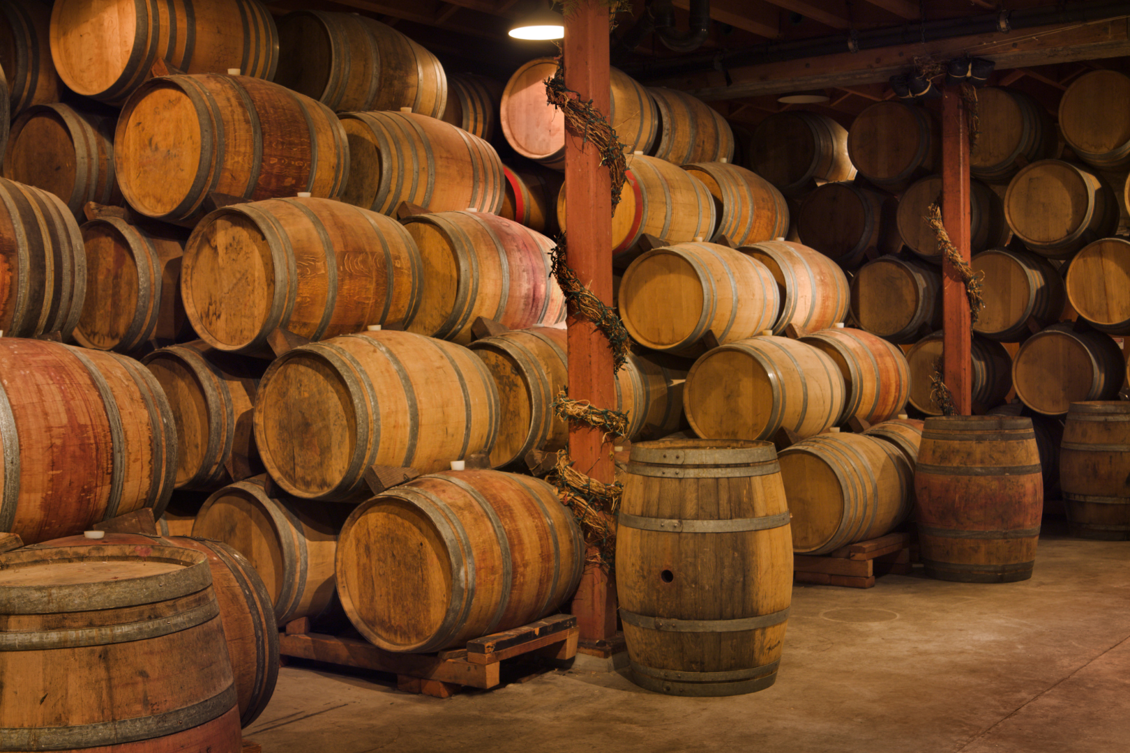 Notions of Napa Valley — image 4 of 8