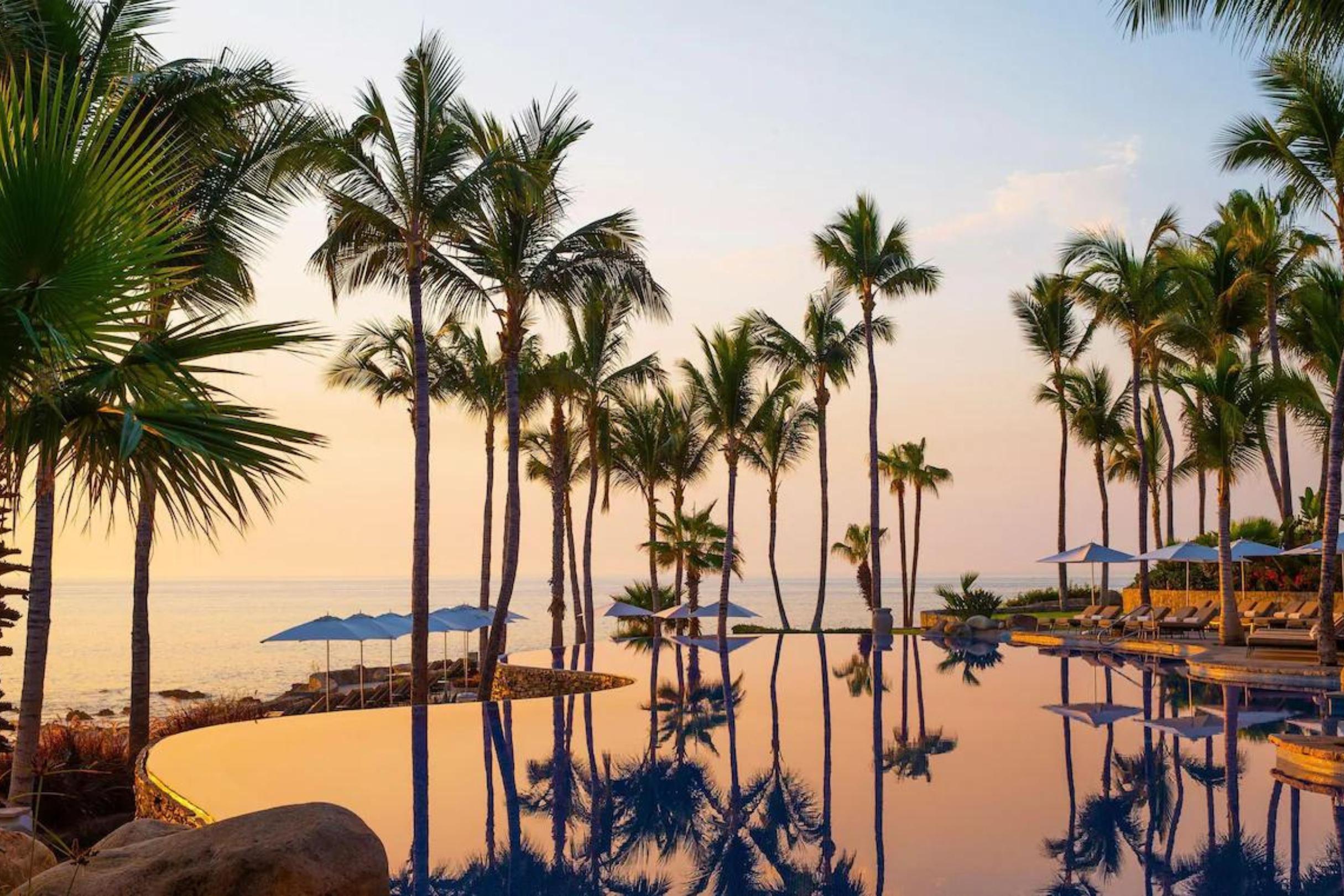 5-Star Palmilla Resort — image 8 of 10