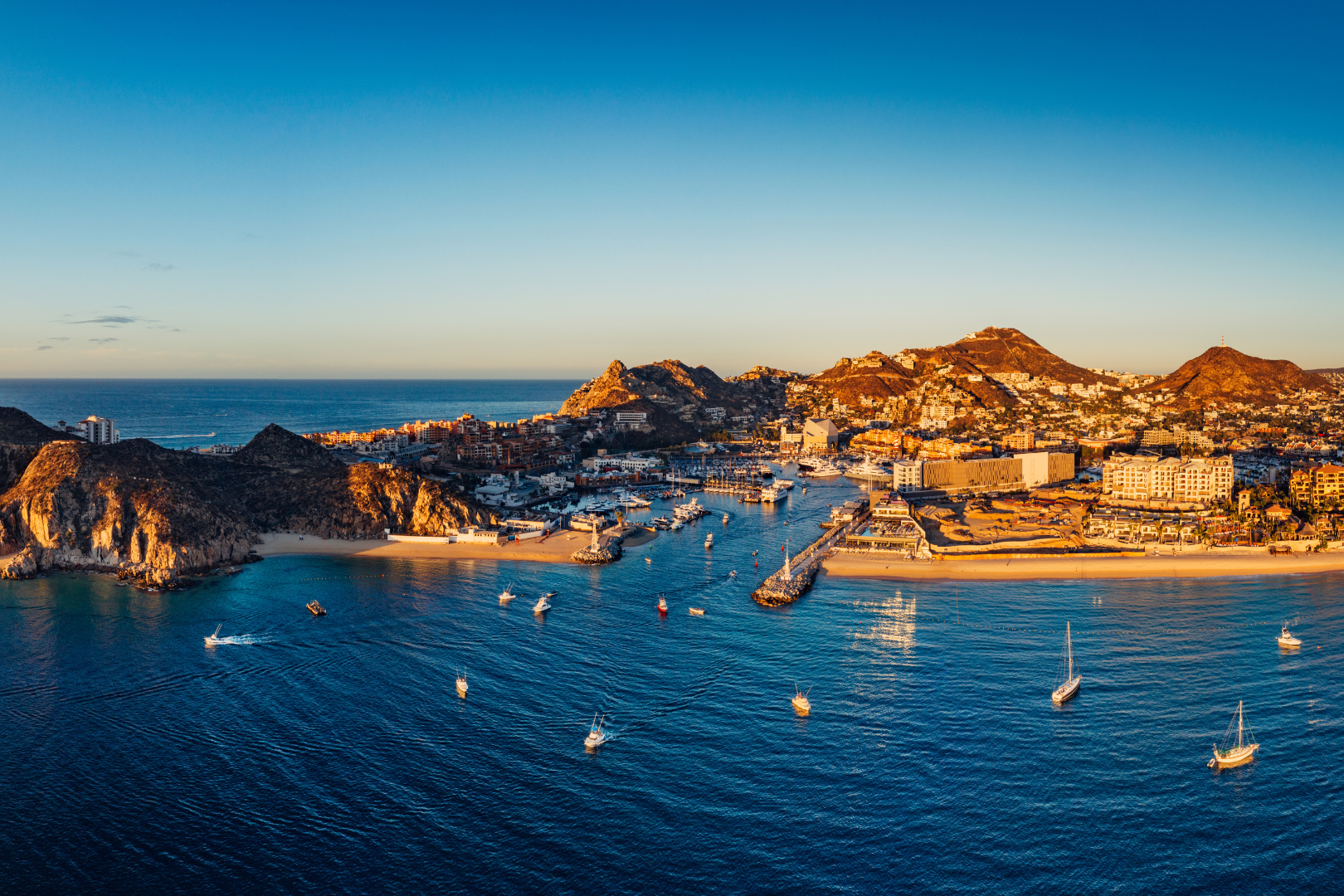 Los Cabos Sport Fishing — image 10 of 10