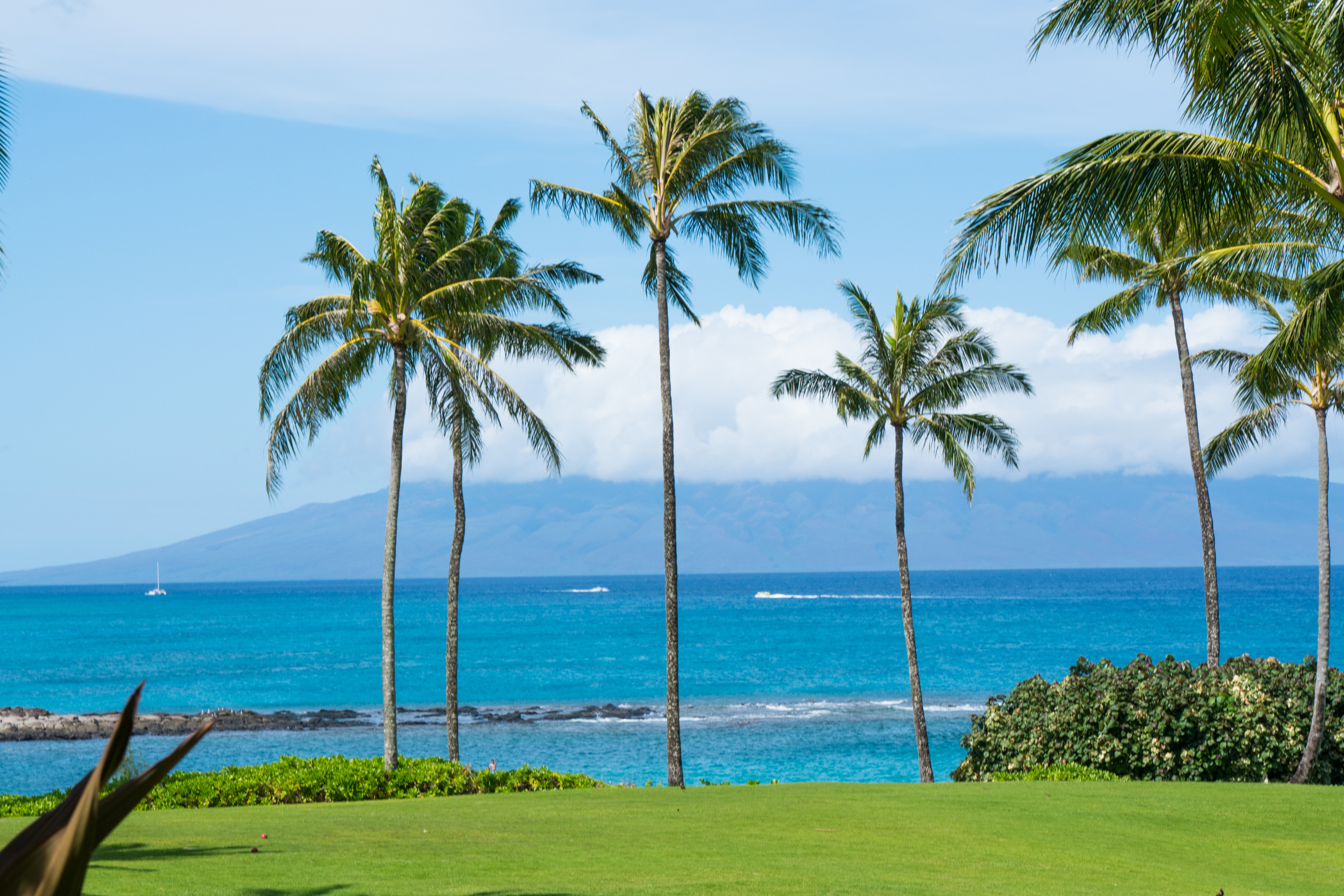 Hawaiian Adventure — image 9 of 10