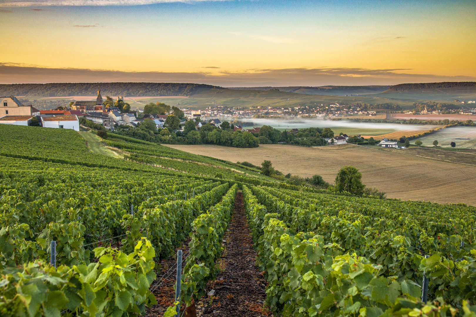 Champagne, France - 5 Nights for 6 — image 2 of 25
