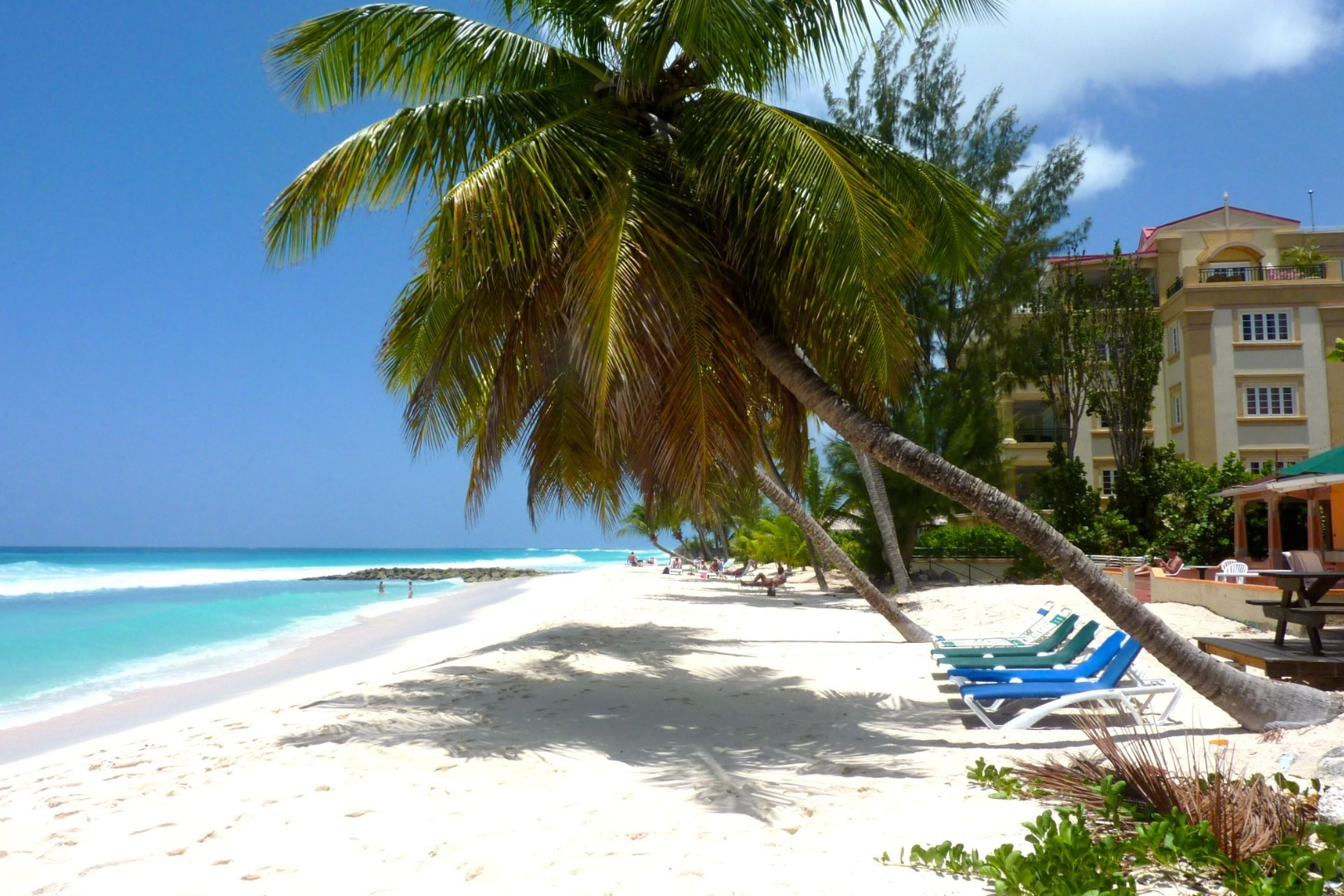 Caribbean Passport — image 4 of 9