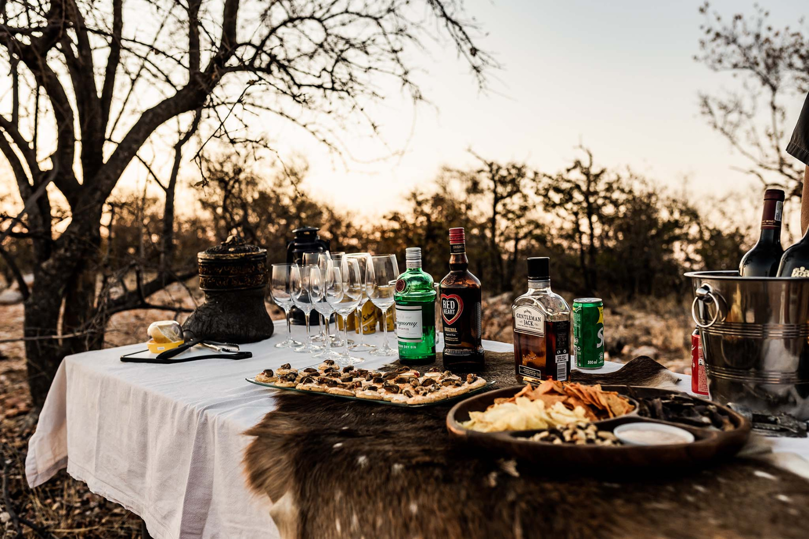 South African Safari Hunt — image 3 of 9