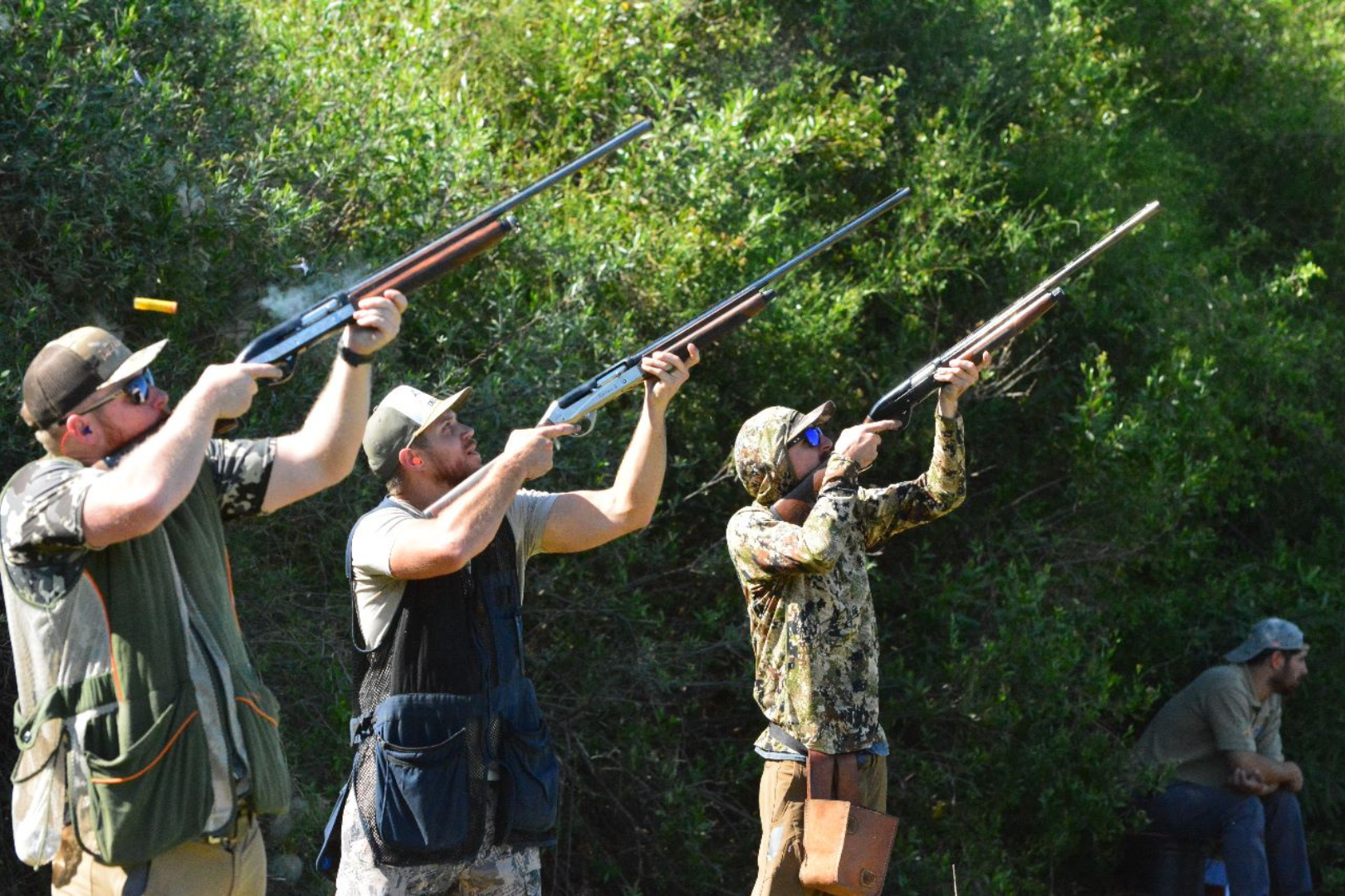 Argentinian Dove Hunt — image 2 of 4
