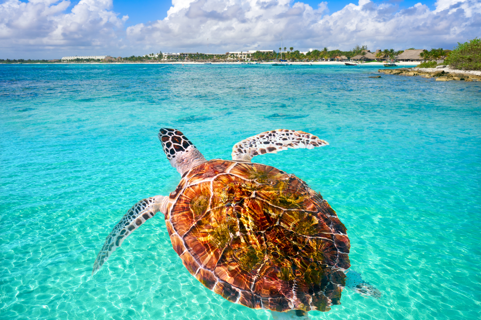 Caribbean All-Inclusive - 4 Nights for 2 — image 10 of 11
