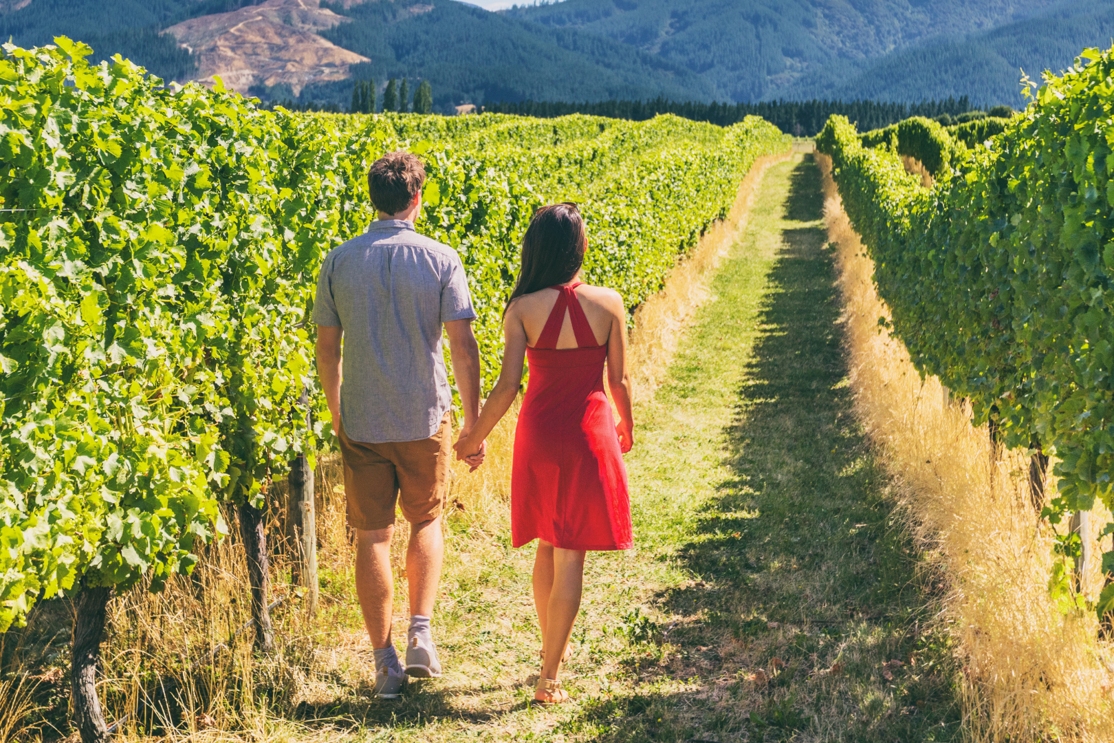 Napa Valley Wine Tour — image 4 of 10