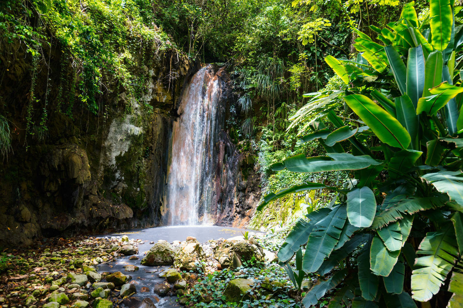 World Passport — image 3 of 35