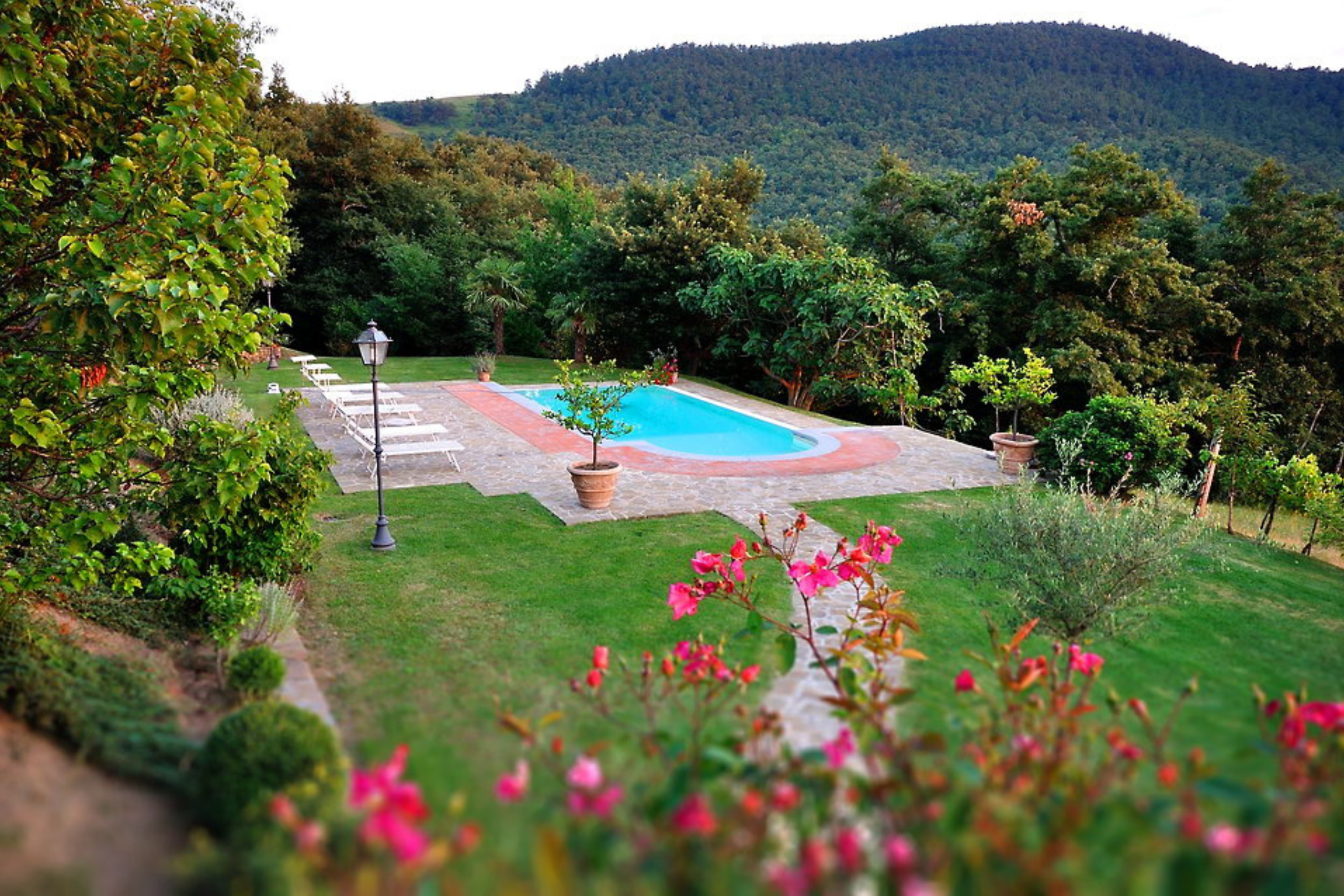Tuscany and Umbria — image 2 of 10