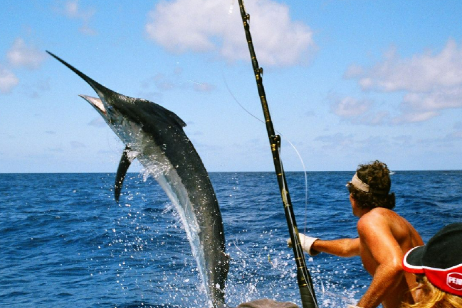 Los Cabos Sport Fishing — image 2 of 10